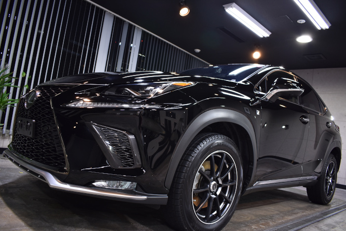 lexusnx300_201903_02.jpg