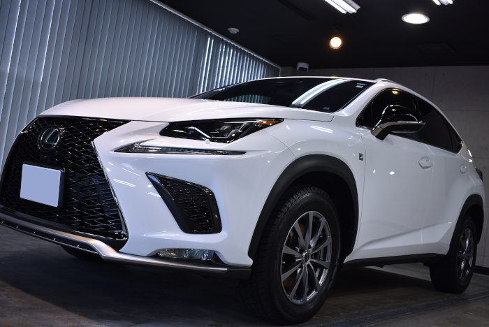 lexusrx_201902_01.jpg