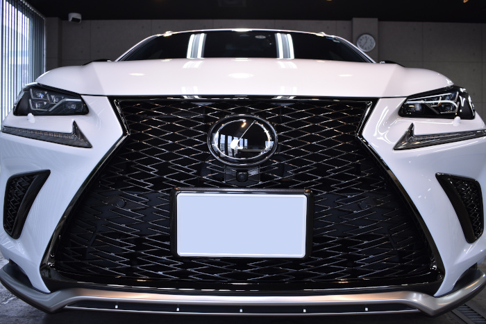 lexusrx_201902_06.jpg