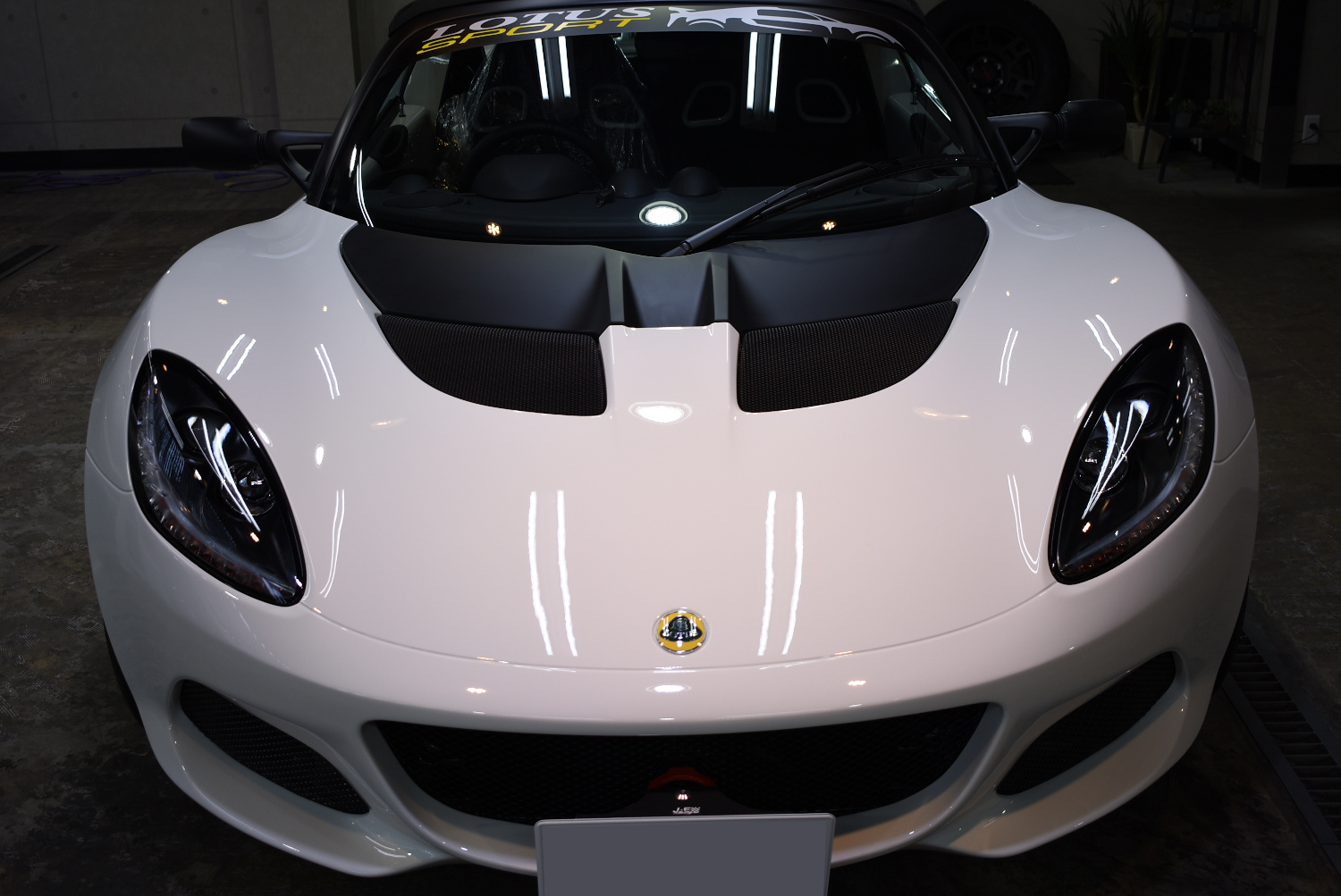lotuselise_202109_02.jpg