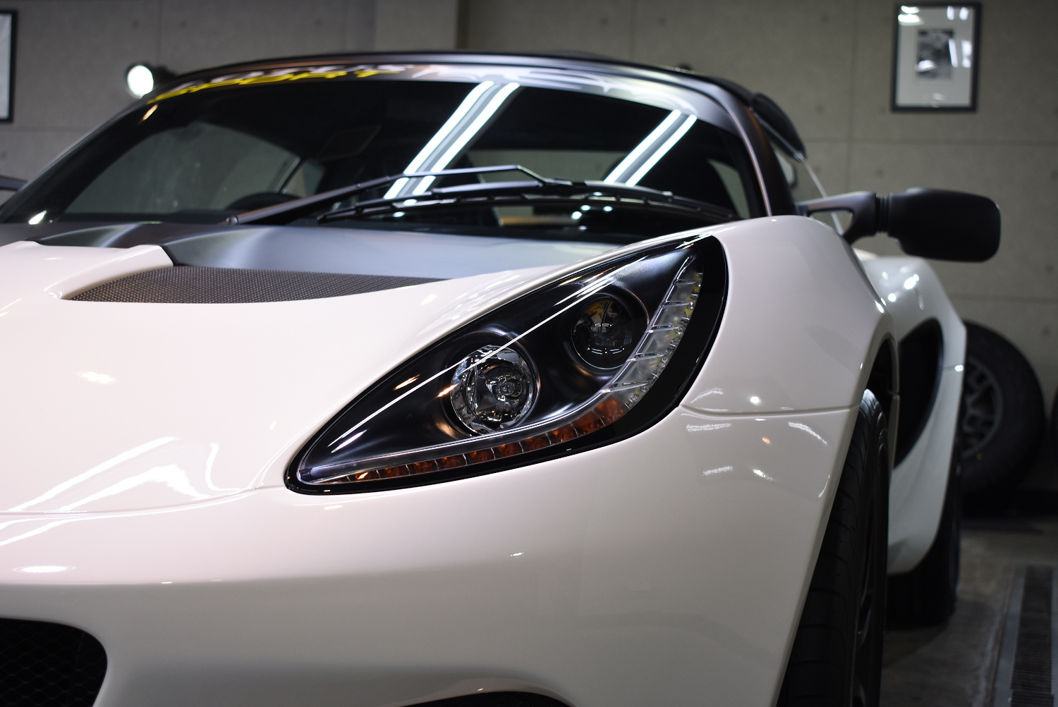 lotuselise_202109_05.jpg