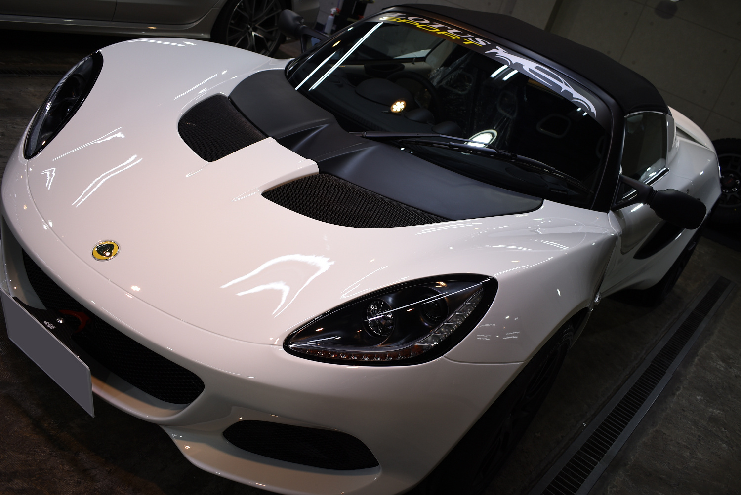 lotuselise_202109_07.jpg